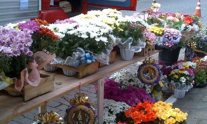 Prefeitura de Franca leiloa espaços para venda de flores no Dia de Finados