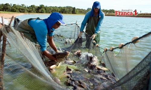 Produtores da Aquicultura devem cadastrar atividade até o dia 31 de outubro