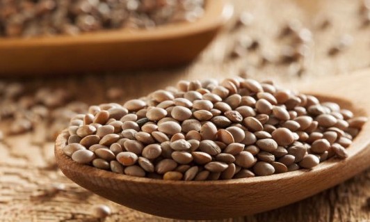 Lentilha é opção saudável por ser rica em vitaminas, proteínas, ferro e fibras