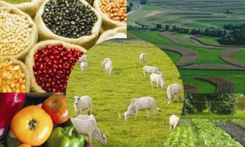 Com boa melhora, confiança em agronegócios no Brasil está perto dos 100 pontos
