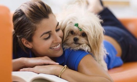 Pets contribuem para a redução de estresse e tornam os lares mais alegres