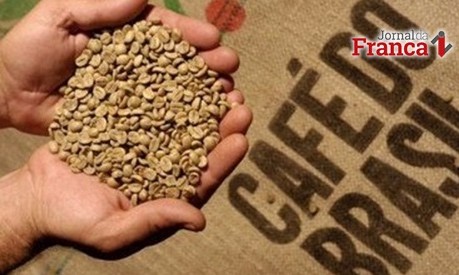 Café tipo 4/5 valoriza R$ 10 em Franca e saca estabIliza no preço de R$ 480