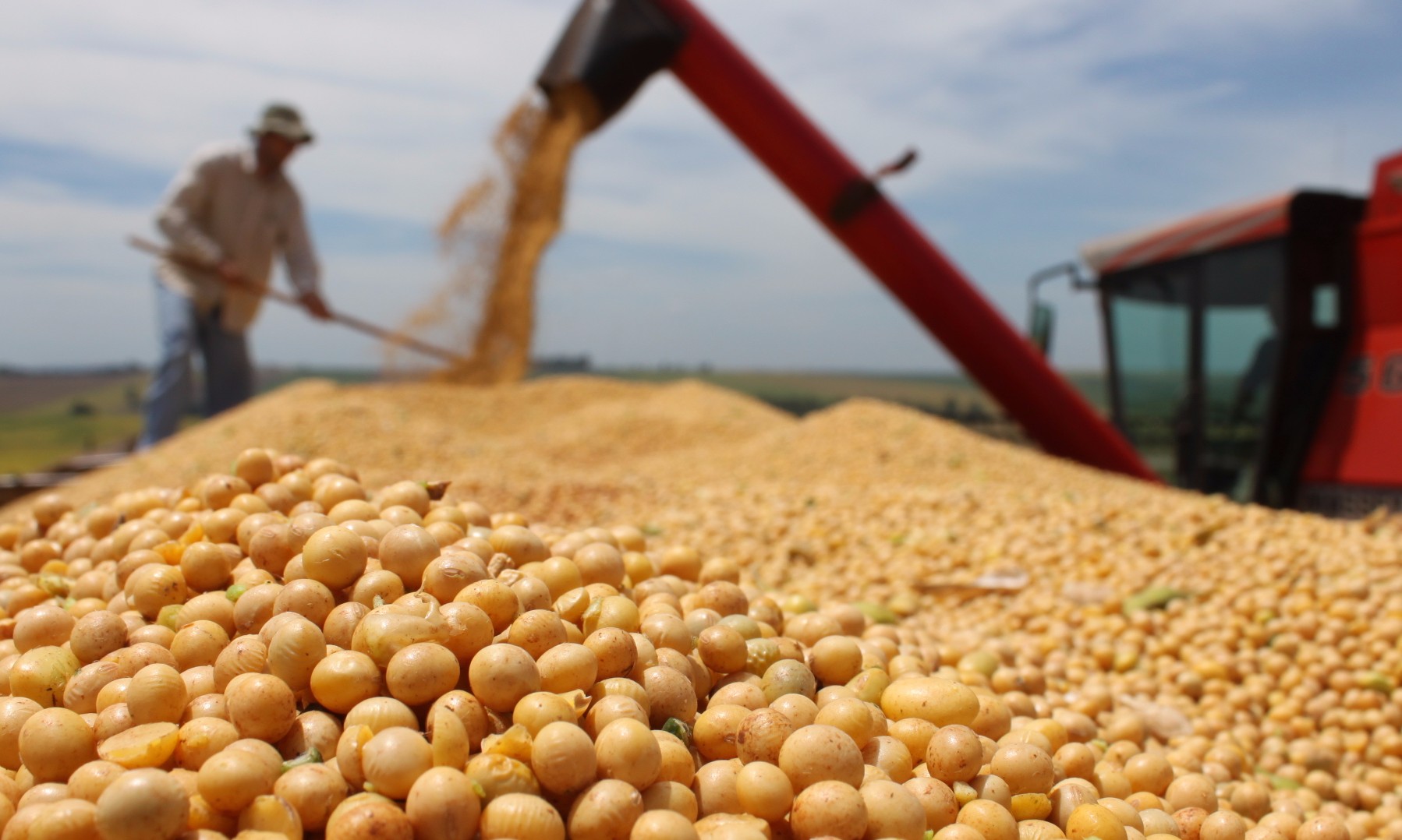 Brasil deve exportar em 2017 mais soja e menos milho que o previsto