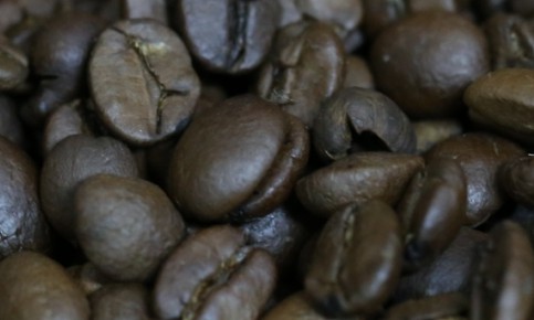 Exportações de café registram aumento acima de 13% em outubro