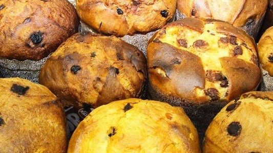 SESI Franca divulga seus cursos especiais para o mês de novembro