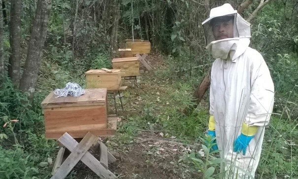 Prefeitura oferece curso gratuito de apicultura a partir de fevereiro