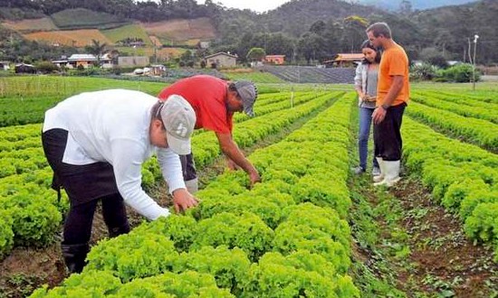 Empréstimos para agricultores familiares têm novas regras em 2018