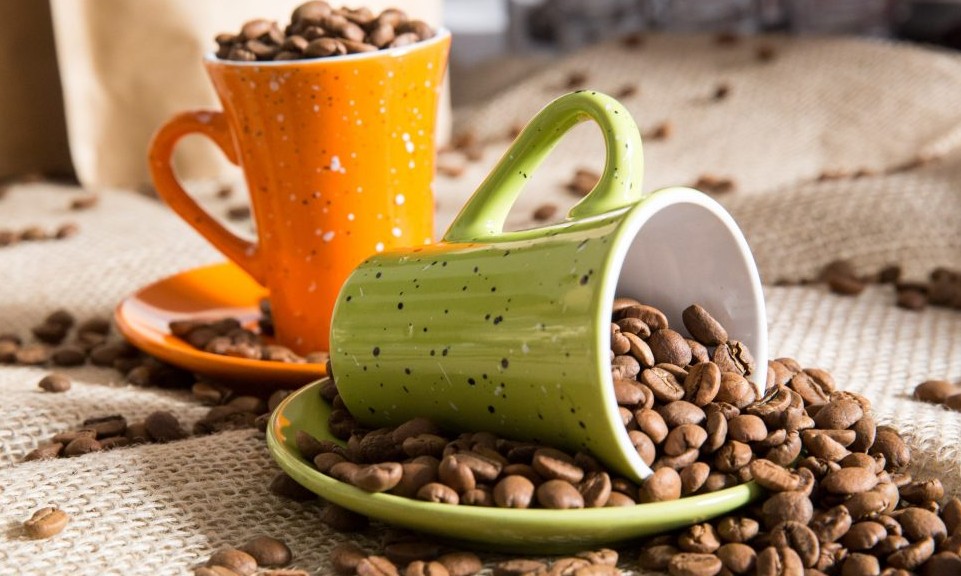 Cursos sobre cafeicultura têm início na próxima segunda-feira, 29/01