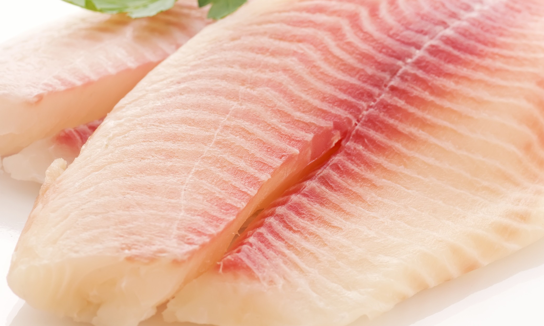 Anvisa proíbe venda de lote de peixe congelado por presença de parasitas