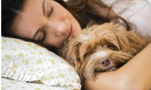 Dormir com o animal de estimação: até onde esta prática pode ser saudável?