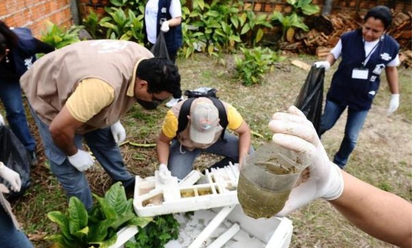 Vigilância de Franca alerta para o cuidado contra a dengue durante as chuvas