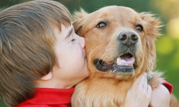 Coisas comuns que seres humanos fazem e deixam os cachorros irritados