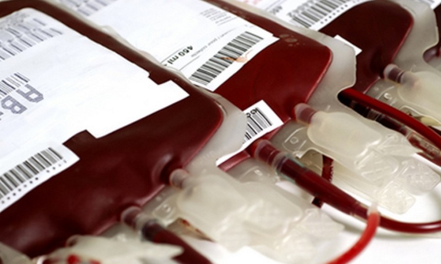 Conheça alguns motivos para doar sangue, gesto que pode salvar vidas