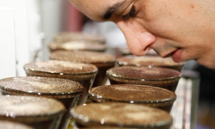 Certificação e Classificação de Café: cursos gratuitos começam no próximo dia 29