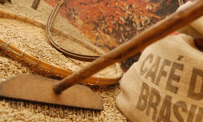 Café tem cotação com pequena alta na Bolsa de NY nessa terça-feira, 06/02