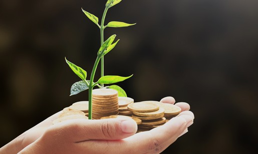 Empréstimos agrícolas de grandes e médios produtores crescem 14%