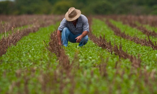 Governo prorroga adesão ao Fundo de Assistência ao Trabalhador Rural