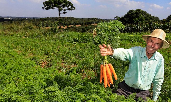Pequenos produtores terão apoio da Conab para venda da sua produção