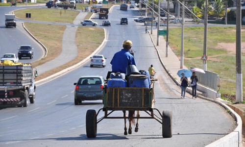 Prefeitura anuncia que fará recadastramento de todos os carroceiros da cidade