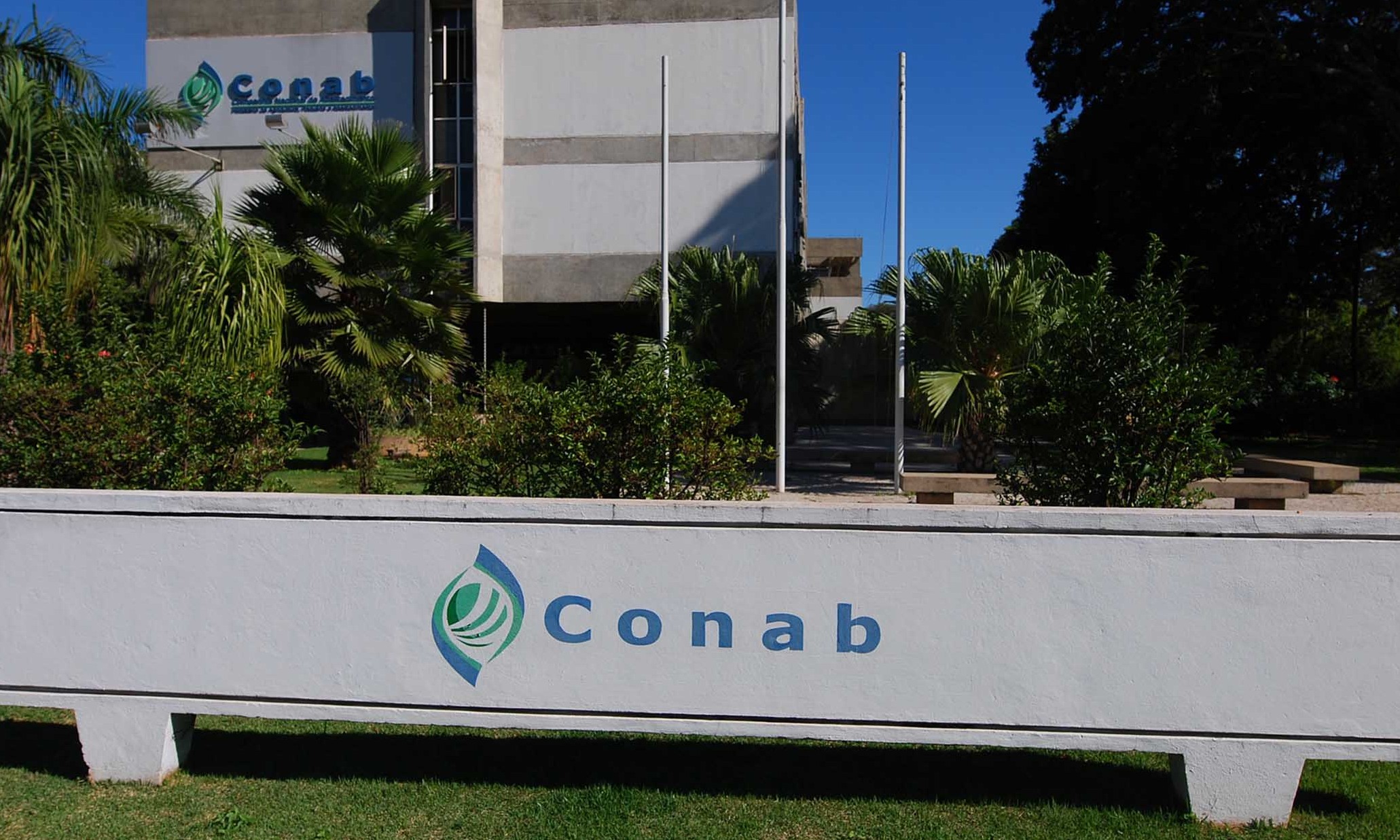 Mercado será consultado sobre operações de leilões realizadas pela Conab