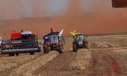 Safra 2018 pode ser 5,6% menor que a de 2017, diz estimativa do IBGE