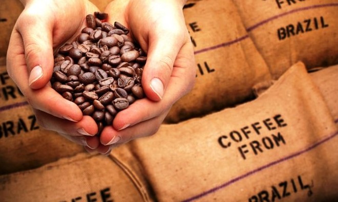 Exportação de café tem queda registrada de 9% no mês de fevereiro