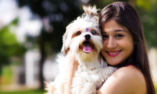 Convivência com pet cria semelhanças entre tutor e animal de estimação