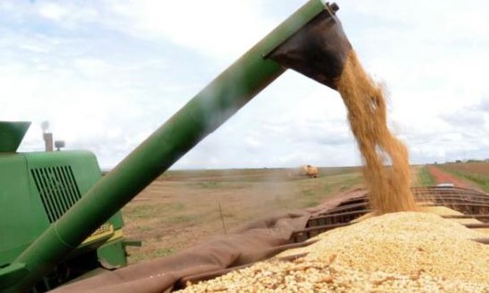 Mesmo com redução de 3,4%, safra de grãos é segundo recorde no Brasil