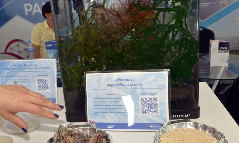 Institutos estaduais apresentam novidades tecnológicas na Agrishow
