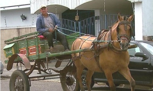 Carroceiros de Franca devem se recadastrar a partir desta quinta-feira, 05