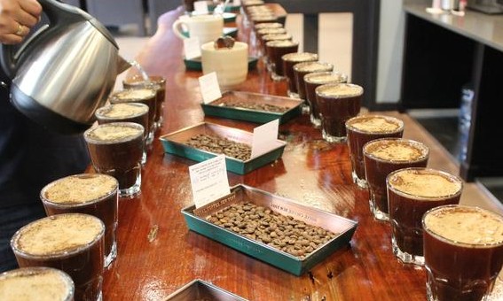 Cafés especiais fomentam surgimento de novos profissionais da área