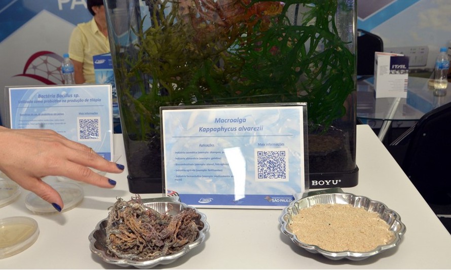 Institutos estaduais apresentam novas tecnologias na Agrishow