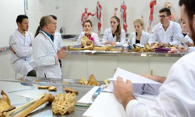 MEC suspende criação de novos cursos de medicina no país por cinco anos