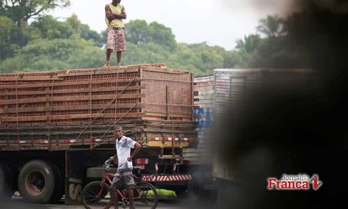 Entidade de caminhoneiros diz que greve continua nesta quinta-feira