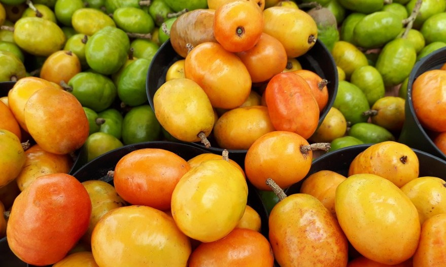 O poder antioxidante e anti-inflamatório de dez frutos brasileiros