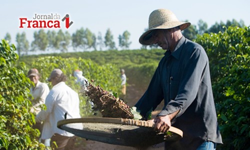 Medida provisória estende prazo de adesão ao Refis do Funrural para 30 de outubro