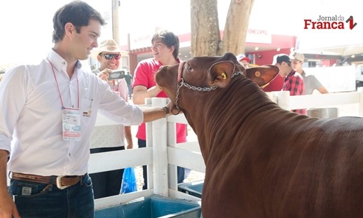 Gado criado com tecnologia em fazenda de Rifaina é destaque na Agrishow