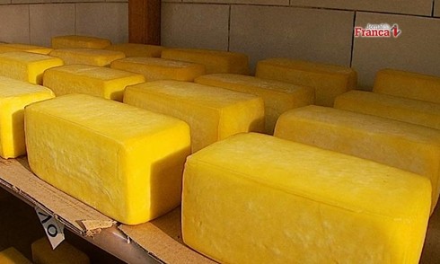 Senado tira da Agricultura fiscalização dos artesanais de origem animal