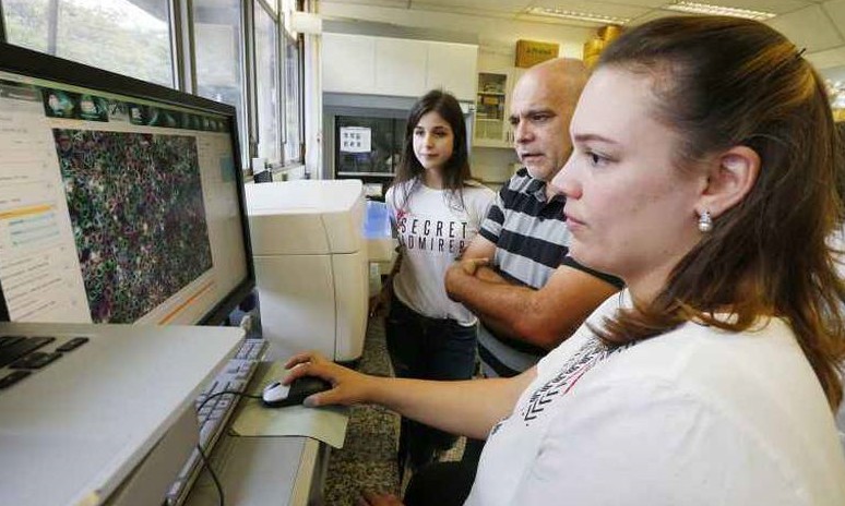 Cientistas brasileiros testam compostos para combater febre amarela