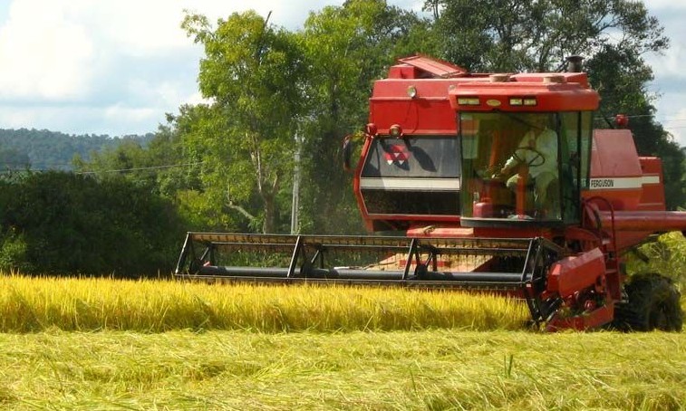 Fórum discute inovações no agronegócio nesta terça-feira, 29, em Ribeirão Preto