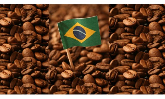 Brasil reduz exportação de café com embarques de 
US$ 343,5 mi em abril