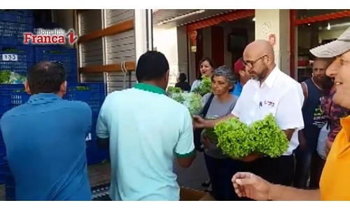 Produtores doam alface e jogam leite fora por falta de transporte em MG
