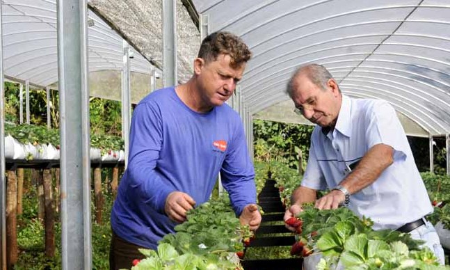 Agrishow 2018 expõe tecnologias de controle biológico em flores