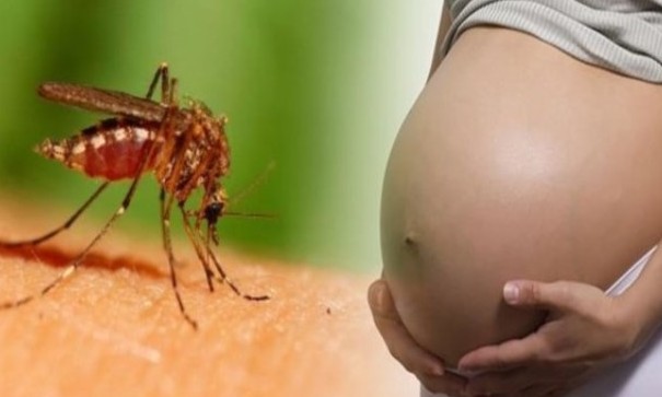 Esquizofrenia e autismo podem afetar crianças vítimas do zika adultas