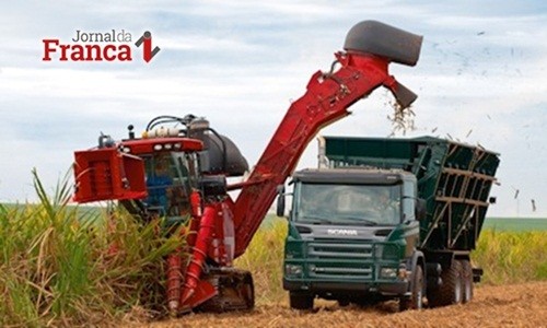 Safra de cana: produtividade deve cair cerca de 10% na região entre 2018/2019