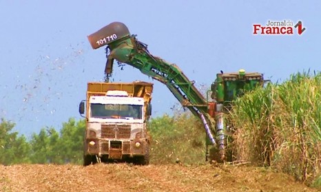 Irregularidade de chuvas causa perdas de até 10% na safra de cana na região