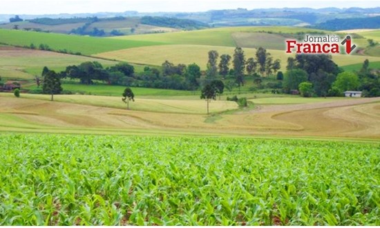 Conselho prorroga prazo de entrega do Cadastro Ambiental Rural