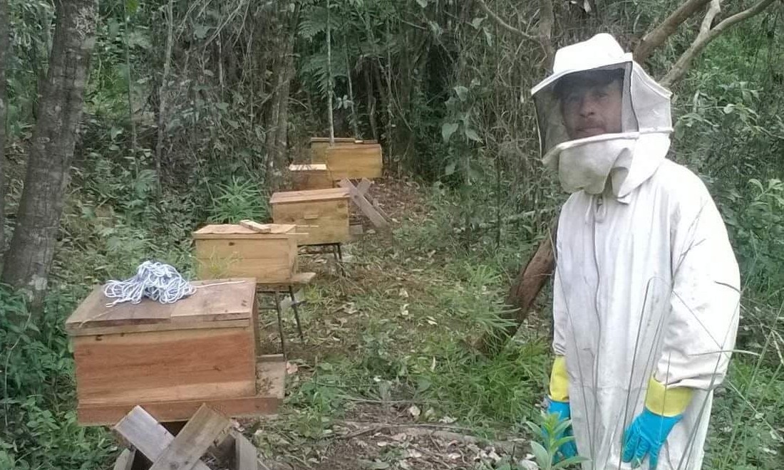 Com aulas práticas e teóricas, curso gratuito de Apicultura recebe inscrições