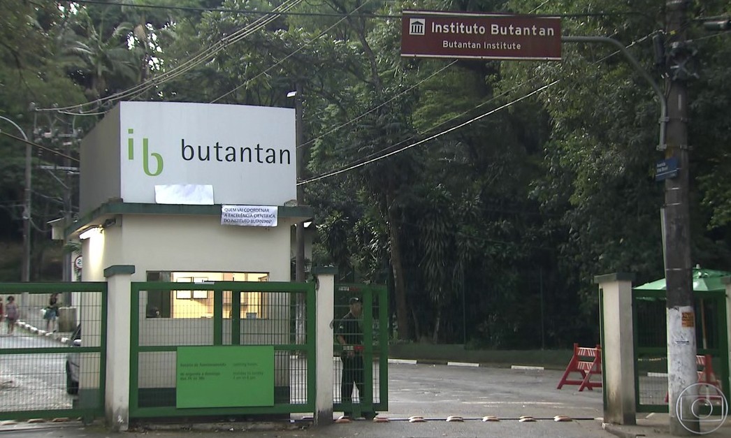 Instituto Butantan reúne atrações variadas para o público de todo Estado
