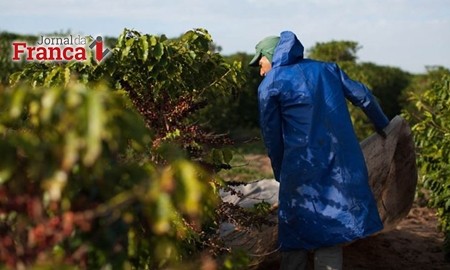 Greve de caminhoneiros e clima provocam queda no ritmo da colheita de café